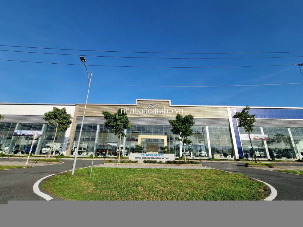 NỀN HỒNG LOAN