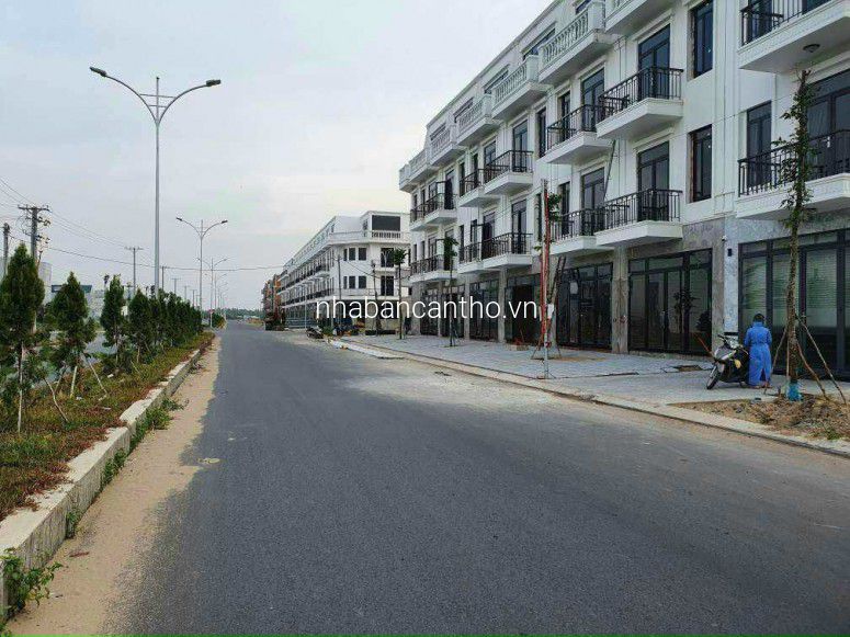 NỀN HỒNG LOAN